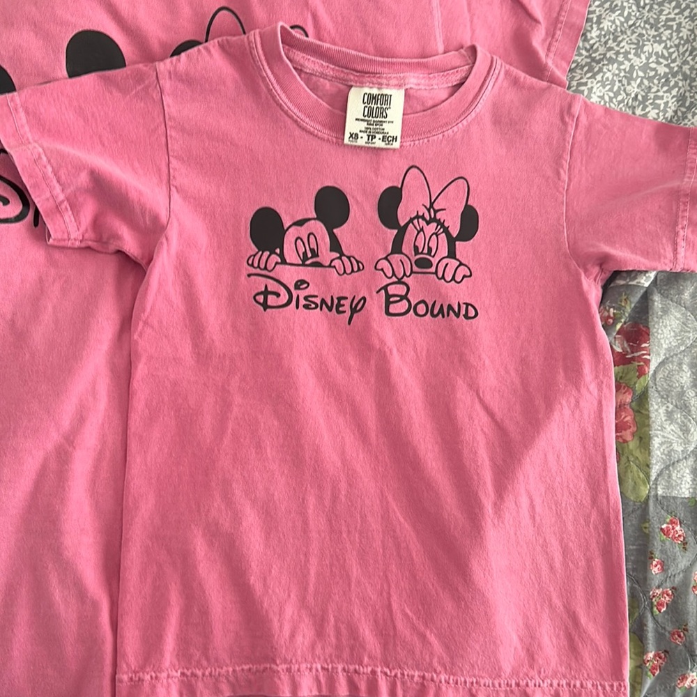 Youth, extra small, comfort colors, Disney bound T-shirt.